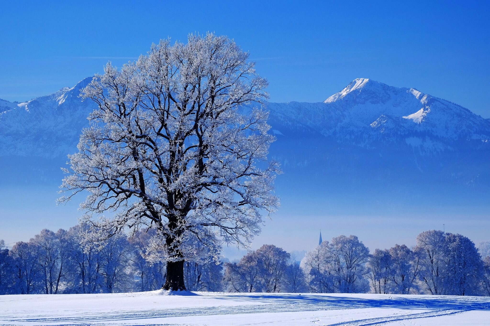 Wir wünschen euch eine wunderbare Weihnachtszeit!