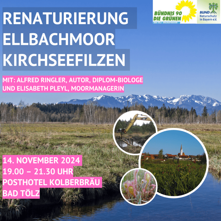 Renaturierung von Ellbachmoor und Kirchseefilzen 