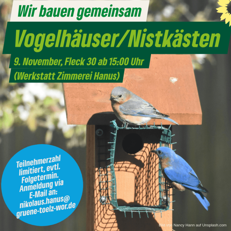 Grüne Isarwinkel: Wir bauen gemeinsam Vogelhäuser/ Nistkästen